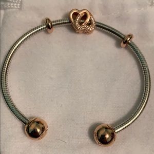 Pandora | Jewelry | Pandora Moments 